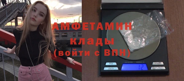 дживик Бронницы
