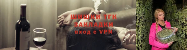 дживик Бронницы
