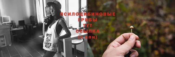 дживик Бронницы