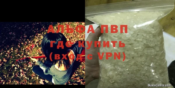 ПСИЛОЦИБИНОВЫЕ ГРИБЫ Бородино