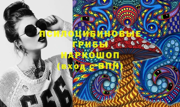 дживик Бронницы