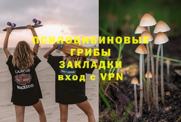 дживик Бронницы