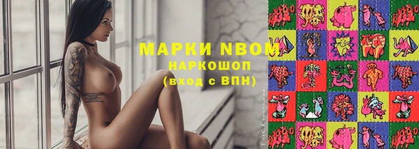 дживик Бронницы