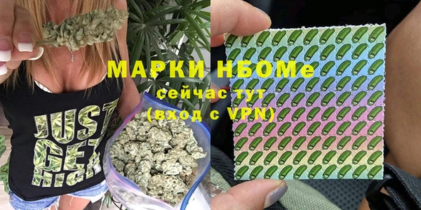 ПСИЛОЦИБИНОВЫЕ ГРИБЫ Бородино