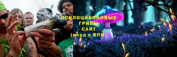 бошки Заводоуковск