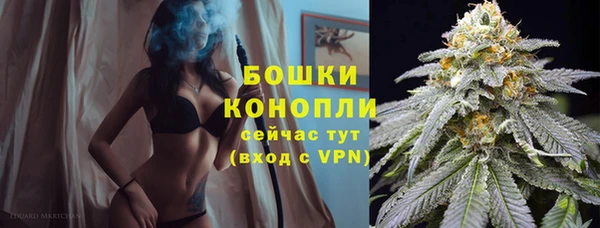 spice Бугульма