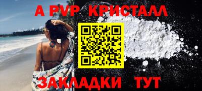 spice Гатчина