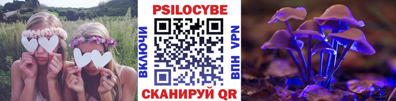 хочу наркоту  Каменка  Псилоцибиновые грибы MAGIC MUSHROOMS 