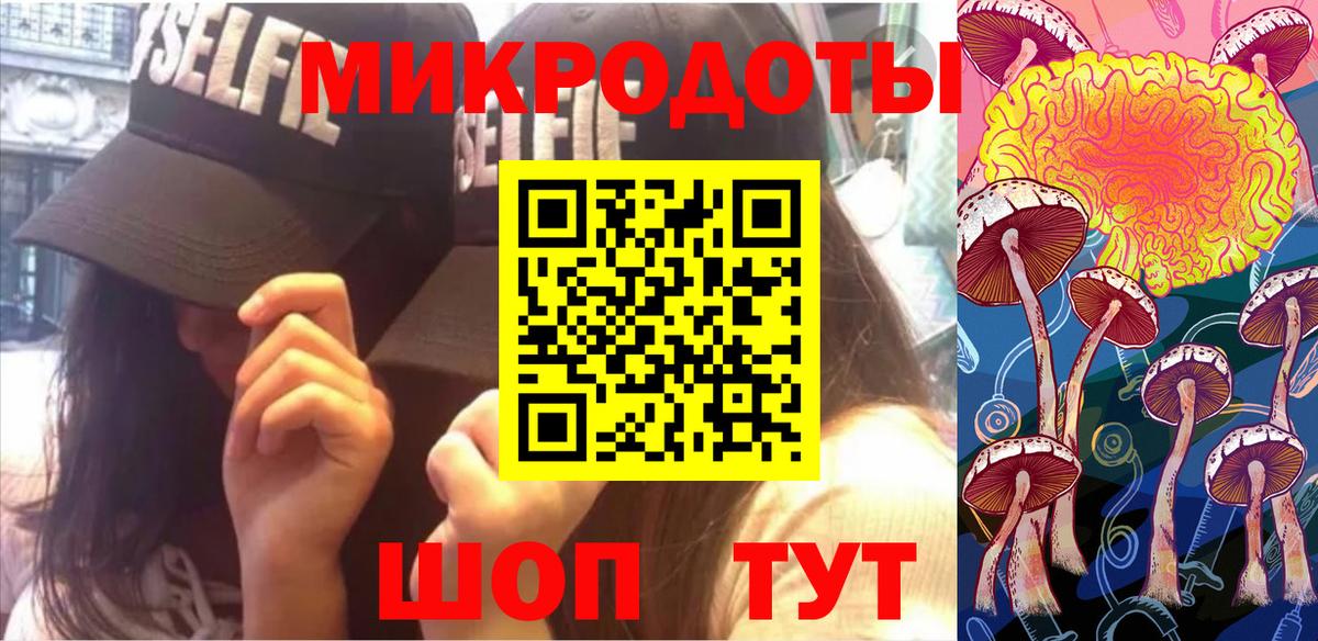 Галлюциногенные грибы Magic Shrooms Каменка
