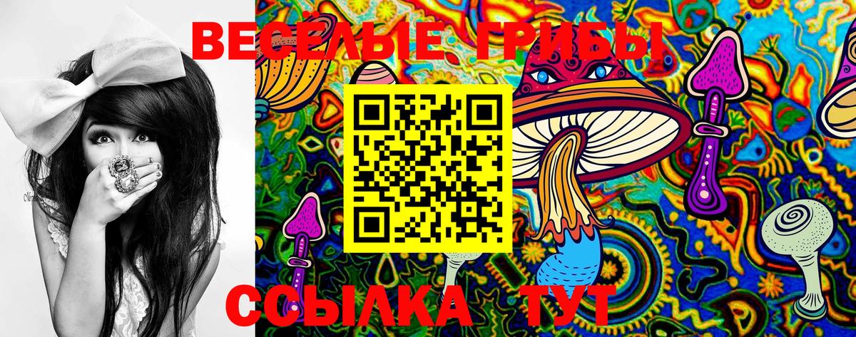 Каменка  Галлюциногенные грибы прущие грибы  Вход с VPN 